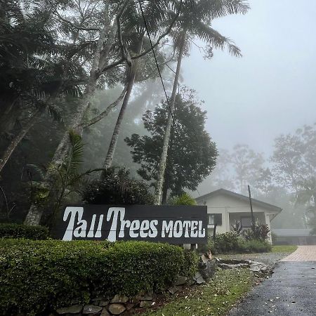 מאונט טאמבורין Tall Trees Motel Mountain Retreat מראה חיצוני תמונה